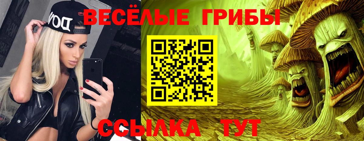 Псилоцибиновые грибы MAGIC MUSHROOMS  Вход с VPN  Беслан 