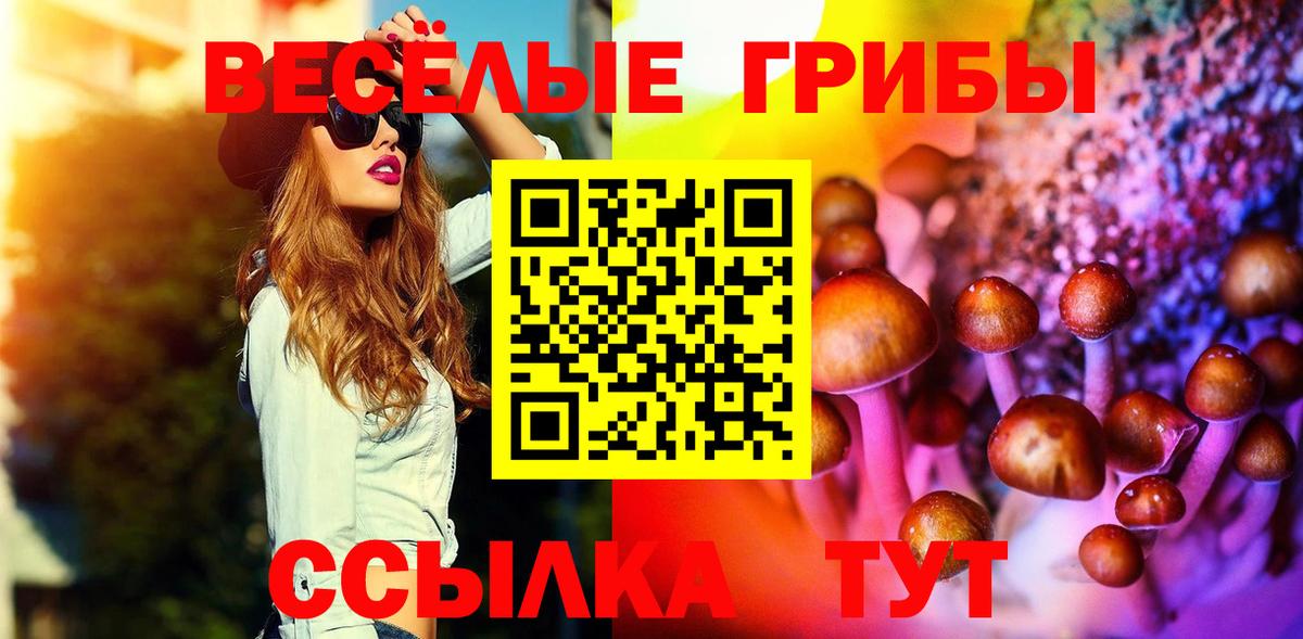 Галлюциногенные грибы Psilocybe Беслан